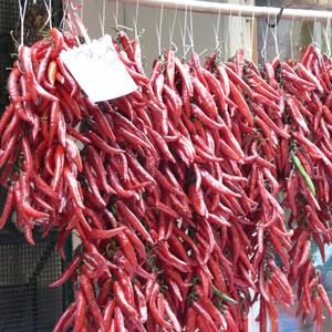 Meet your Posher, Sally